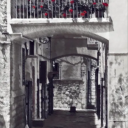 Arco Poli *