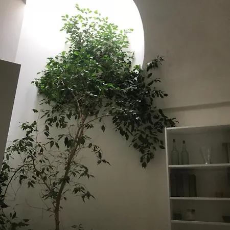 Arco Poli Bed & Breakfast